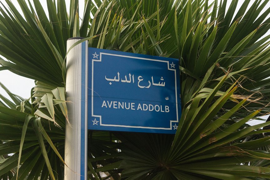 cross language content signal identification